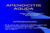 Apendicitis Aguda 2010 (1)