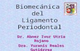 Biomecanica Del Ligamento Periodontal 1220069928202435 9