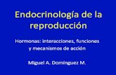 Endocrinología de la reproducción