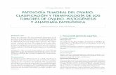 34-Patologia Tumoral Del Ovario Clasificacion y Terminologia de Los Tumores Del Ovario Histogenesis y Anatomia Patologica