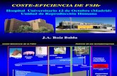 José Antonio Ruiz Balda - Coste-Eficiencia de La FSH Recombinante - II Simposio Reproducción Asistida Quirón