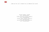Analisis de Las 5 Fuerzas de Michael Porter UNIVERSIDAD DEL TOLIMA