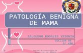 Patología Benigna de Mama