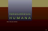 11-Fotosíntesis Humana [cr]