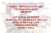 Analisis Mexico Petroleos