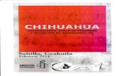 Chihuahua: desaparición, trata de personas y situación de defensores/as