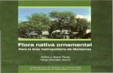 Flora Nativa Ornamental Para Mty -Glafiro Alanis