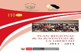 13 SENAJU Plan Regional Juventud 2011 2014