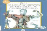 Guía de los Movimientos de Musculación, Descripción Anatómica. Frédérik Delavier. 4ª Edición