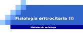 10.- Fisiologia Eritrocitaria Nuevo I (3)