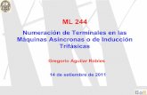 Numeracion de Terminales en Las Maquinas Asincronas o de Induccion Trifasicas