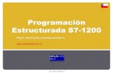 95471431 Programacion Estructurada PLC Siemens by PGF