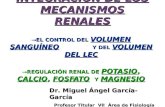 27. Integración de los Mecanismos Renales. Regulación de K, Ca, PO y Mg.ppt