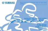 Fz 6 Manual 2009