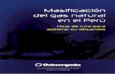 Libro de Masificacion Del Gas Natural Para WEB