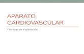 Aparato Cardiovascular Exploracion