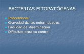 Bacterias Fitopatogenas