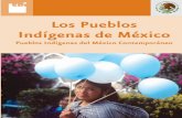 Pueblos Indígenas de México