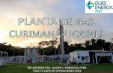 PLANTA DE PROCESAMIENTO DE GAS – DUKE ENERGY