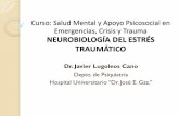 Neurobiologia Del Trauma