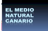 El MEDIO NATURAL CANARIO.ppt