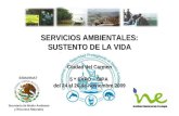 Servicios Ambientales Pemex INE