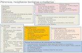 Ficha de páncreas, neoplasias benignas y malignas
