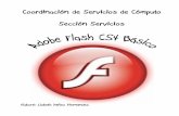 Manual de Adobe Flash CS4 Basico