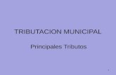 Diapositivas Tributacion Municipal