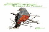 Guía de Aves. Santuario Histórico Bosque de Pómac