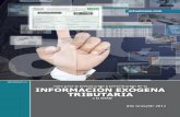 Libro Informacion Exogena 2013