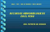 Recursos Hidrobiologicos Del Amr Peruano