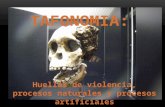 Tafonomia, Huellas de Violencia, Proc. Natur. y Artif.