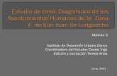 Módulo 3 - Estudio de caso - Diagnóstico de los asentamientos humanos de la zona V de San Juan de Lurigancho.pdf