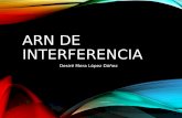 ARN DE INTERFERENCIA.pdf