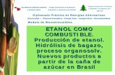 Proceso de Producción del Etanol (Modelo de Brasil)