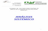 Analisis Sistemico Hidalgo