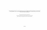 Diferencias en las Conductas Alimentarias entre varones y mujeres.pdf