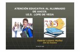 Atencion Educativa Al Alumnado de Altas Capacidades Intelectuales en El IES Lope de Vega