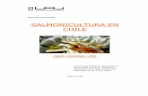 Salmon i Cultura