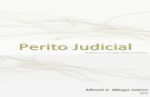 Perito Judicial - Misael