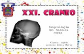 Craneeo Rx
