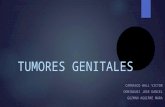 Tumores Genitales- Uro