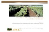 Manual Para Cultivo de Nopal Verdura - Alexia
