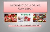 MICROBIOLOGIA ALIMENTOS Microbiologia Agroindustrial