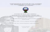 Tesis de Grado - Análisis de la Situación Laboral del Profesional en Turismo.pdf