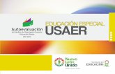 Autoevaluación del modelo de desempeño docente. Educación Especial USAER. SENL. 2012