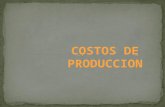 Costos de Produccion(1)