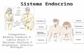 Sistema Endocrino Resumen