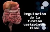 Regulación de la función gastrointestinal